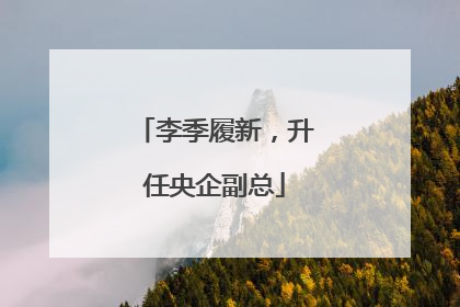 李季履新，升任央企副总
