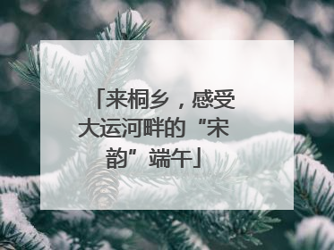 来桐乡，感受大运河畔的“宋韵”端午