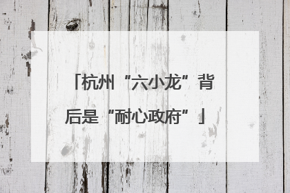 杭州“六小龙”背后是“耐心政府”