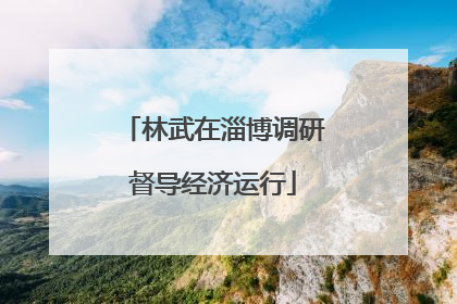 林武在淄博调研督导经济运行