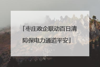 枣庄政企联动百日清障保电力通道平安