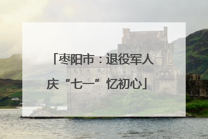 枣阳市：退役军人庆“七一”忆初心