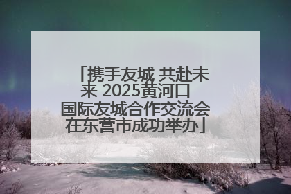 携手友城 共赴未来 2025黄河口国际友城合作交流会在东营市成功举办