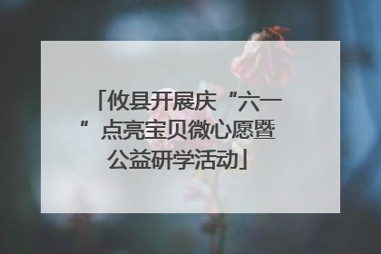 攸县开展庆“六一”点亮宝贝微心愿暨公益研学活动