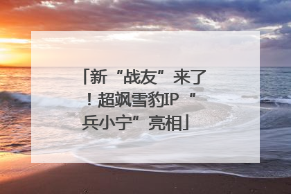 新“战友”来了！超飒雪豹IP“兵小宁”亮相