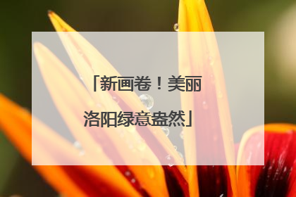 新画卷！美丽洛阳绿意盎然