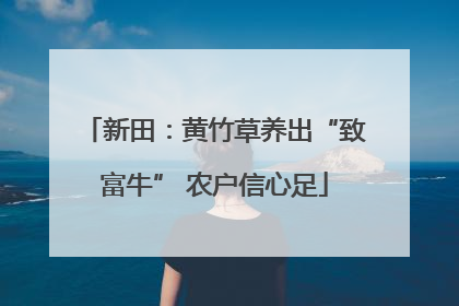 新田：黄竹草养出“致富牛” 农户信心足