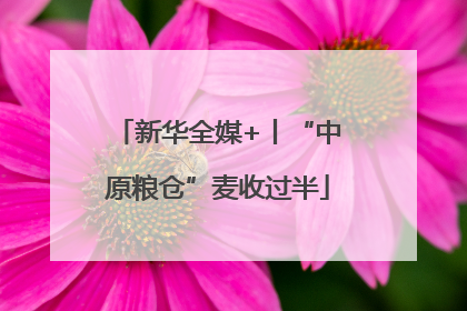 新华全媒+丨“中原粮仓”麦收过半