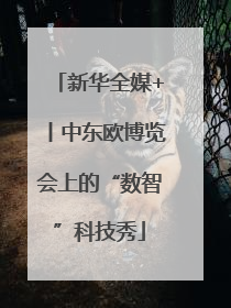 新华全媒+丨中东欧博览会上的“数智”科技秀