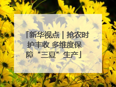 新华视点｜抢农时 护丰收 多维度保障“三夏”生产