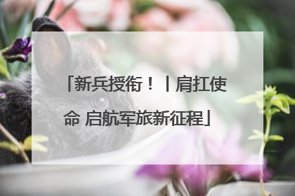 新兵授衔！丨肩扛使命 启航军旅新征程