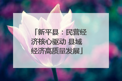 新平县：民营经济核心驱动 县域经济高质量发展