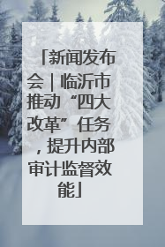 新闻发布会｜临沂市推动“四大改革”任务，提升内部审计监督效能