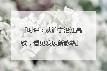 时评：从沪宁沿江高铁，看见发展新脉络
