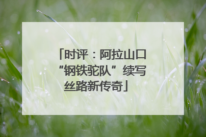 时评：阿拉山口“钢铁驼队”续写丝路新传奇