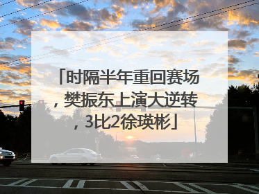 时隔半年重回赛场，樊振东上演大逆转，3比2徐瑛彬