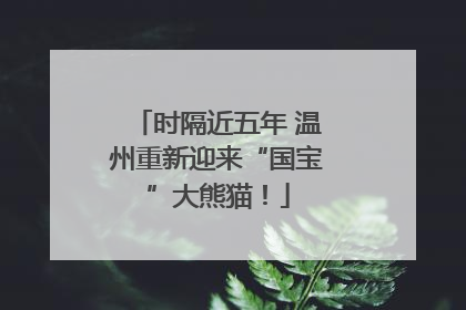时隔近五年 温州重新迎来“国宝”大熊猫！