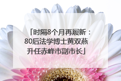 时隔8个月再履新：80后法学博士黄双燕升任赤峰市副市长