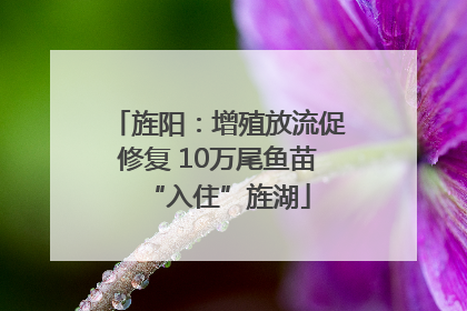 旌阳：增殖放流促修复 10万尾鱼苗“入住”旌湖