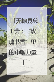 无棣县总工会：“玫瑰书香”里的巾帼力量