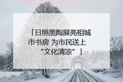 日照黑陶展亮相城市书房 为市民送上“文化清凉”