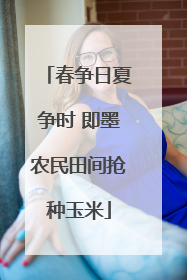春争日夏争时 即墨农民田间抢种玉米