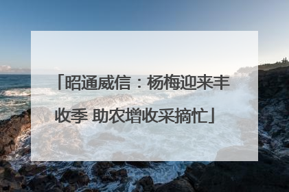 昭通威信：杨梅迎来丰收季 助农增收采摘忙