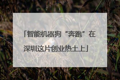 智能机器狗“奔跑”在深圳这片创业热土上