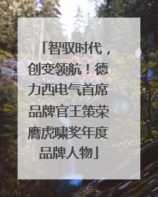 智驭时代，创变领航！德力西电气首席品牌官王策荣膺虎啸奖年度品牌人物