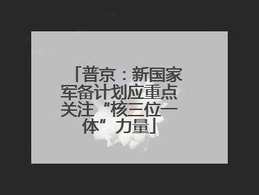 普京：新国家军备计划应重点关注“核三位一体”力量