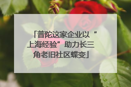 普陀这家企业以“上海经验”助力长三角老旧社区蝶变