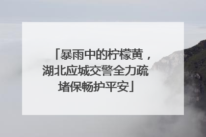暴雨中的柠檬黄，湖北应城交警全力疏堵保畅护平安