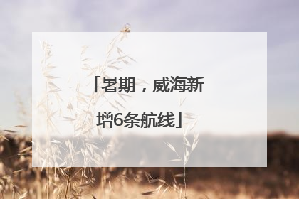 暑期，威海新增6条航线