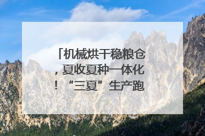 机械烘干稳粮仓，夏收夏种一体化！“三夏”生产跑出加速度｜麦报