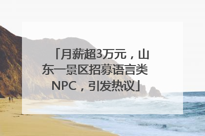 月薪超3万元，山东一景区招募语言类NPC，引发热议