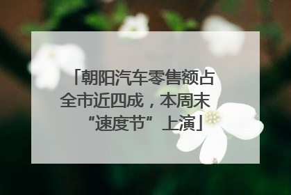朝阳汽车零售额占全市近四成，本周末“速度节”上演