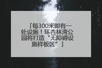 每300米即有一处设施！环杏林湾公园将打造“无障碍设施样板区”