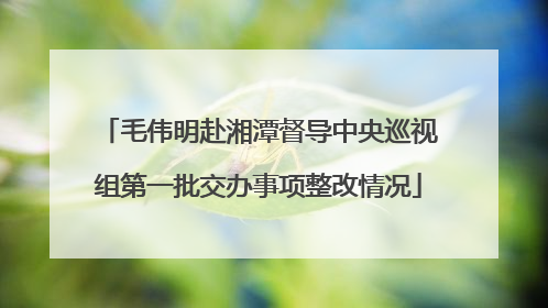 毛伟明赴湘潭督导中央巡视组第一批交办事项整改情况