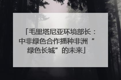 毛里塔尼亚环境部长：中非绿色合作播种非洲“绿色长城”的未来