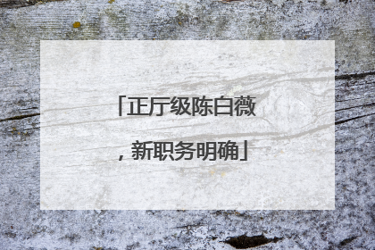 正厅级陈白薇，新职务明确