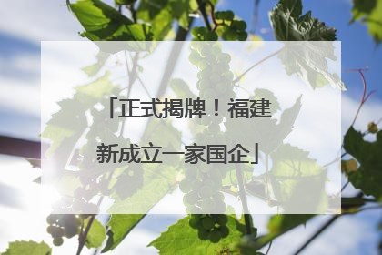 正式揭牌！福建新成立一家国企