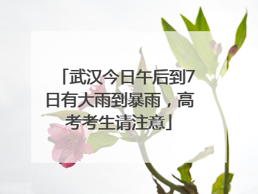 武汉今日午后到7日有大雨到暴雨，高考考生请注意