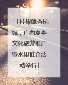 桂果飘香杭城，广西夏季文化旅游推广暨水果推介活动举行