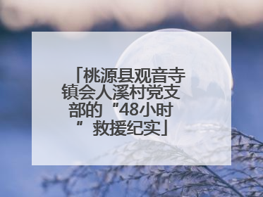 桃源县观音寺镇会人溪村党支部的“48小时”救援纪实