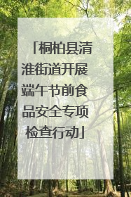桐柏县清淮街道开展端午节前食品安全专项检查行动