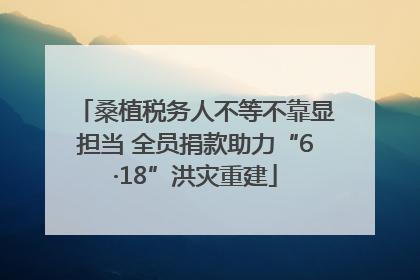 桑植税务人不等不靠显担当 全员捐款助力“6·18”洪灾重建