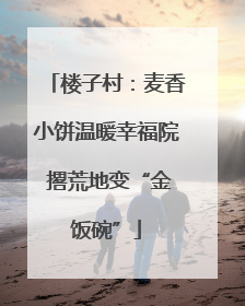 楼子村：麦香小饼温暖幸福院 撂荒地变“金饭碗”