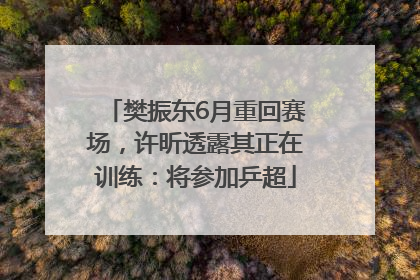樊振东6月重回赛场，许昕透露其正在训练：将参加乒超