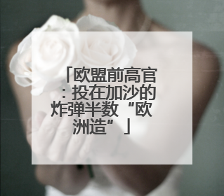 欧盟前高官：投在加沙的炸弹半数“欧洲造”