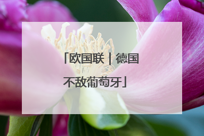 欧国联｜德国不敌葡萄牙